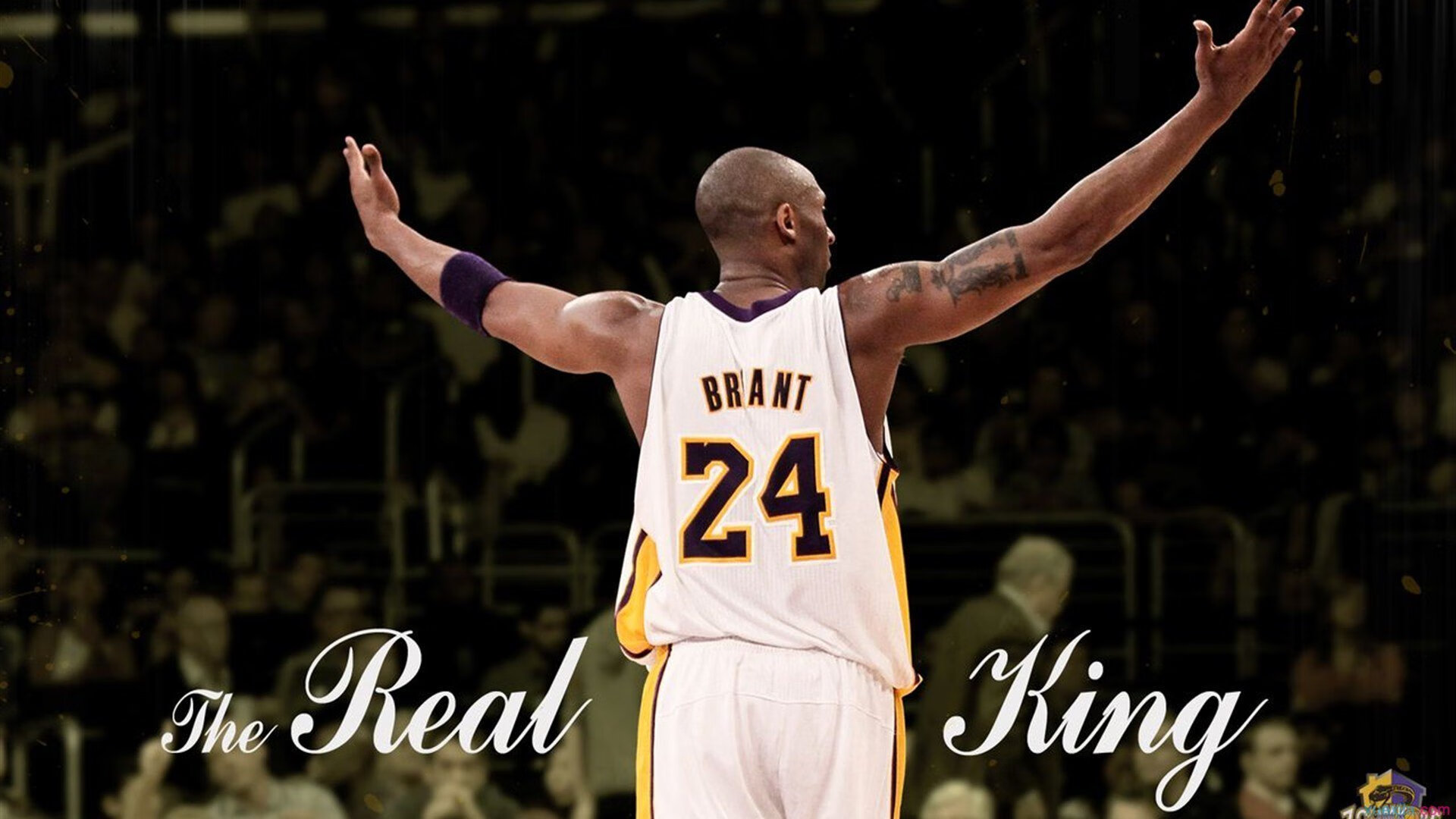 潘帕斯悲歌未凉,卢赛尔之影重演,B费掌舵,克罗地亚以魔笛续写厄瓜多尔噩梦